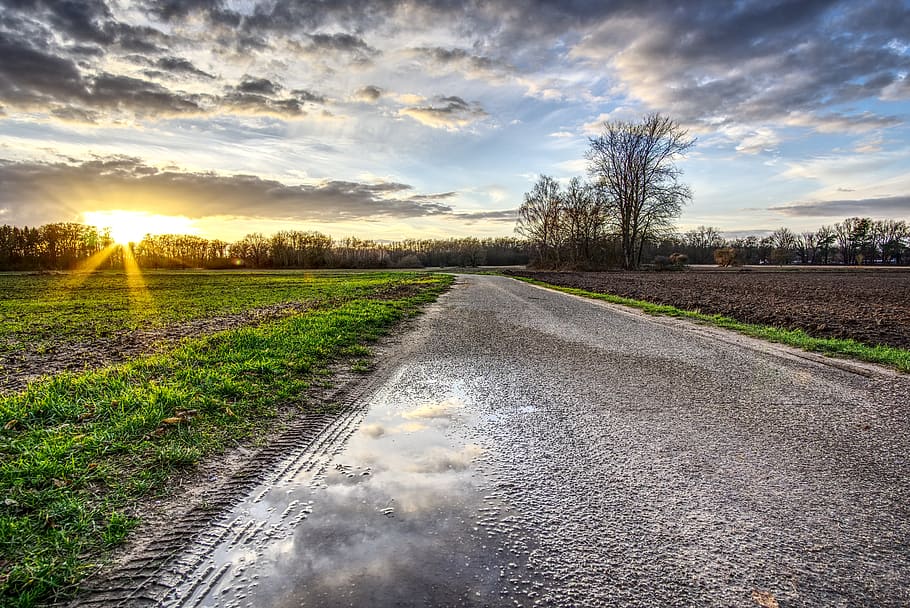 tramonto, sole, cielo, nuvole, campo, prato, paesaggio, umore, abendstimmung, natura, crepuscolo, atmosferico, romantico, atmosfera, illuminazione, lontano, strada, catrame, asfalto, hdr, ampia gamma dinamica, pianta, bellezza nella natura, nuvola - cielo, terra, albero, scenics - natura, ambiente, nessuno, crescita, agricoltura, scena rurale, direzione, la tranquillità, scena tranquilla, prospettiva decrescente, 5K