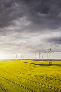 camp, màquina, motor, pastures, a l'aire lliure, naturalesa, riesa, Alemanya, turbina, tempesta, aerogenerador, violació, aerogeneradors, molí de vent, groc, posta de sol, drone, dji, medi ambient, generació de combustible i energia, conservació del medi ambient, cel, energia alternativa, energia renovable, terra, energia eòlica, paisatge, núvol - cel, tecnologia, bellesa a la natura, escenics - natura, escena rural, agricultura, escena tranquil·la, cap gent, recursos sostenibles, electricitat, Font d'alimentació, poder a la natura, 4K, CC0, domini públic, lliure de regalies