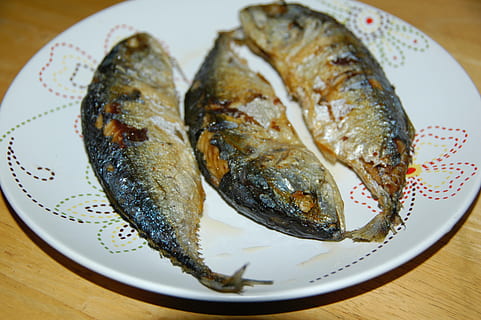 ryba, jedzenie, jedzenie i picie, płyta, Gotowy do jedzenia, świeżość, wewnątrz, stół, martwa natura, owoce morza, dobre samopoczucie, zdrowe odżywianie, zbliżenie, żadnych ludzi, kręgowiec, zwierzę, wysoki kąt widzenia, Wielkość porcji, skupić się na pierwszym planie, drewno - materiał, obiad, porcelana, japońskie jedzenie, 2K, CC0, domena publiczna, darmowe zdjęcia