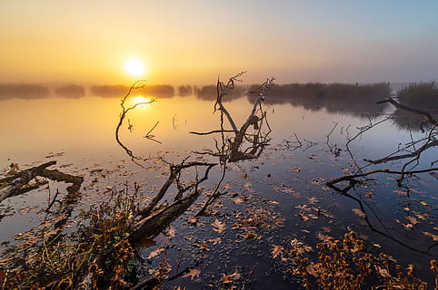 Německo, schwerte, voda, odraz, nebe, západ slunce, krása v přírodě, klid, scenics - příroda, klidné scény, jezero, slunce, Příroda, oranžová barva, nikdo, mimoměstské scény, rostlina, strom, idylický, slunečního světla, venku, mrtvá rostlina, 5K, CC0, veřejná doména, bez autorských práv