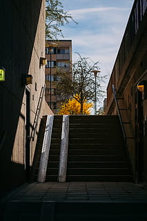 pusty, schody, dzień, budynek, Miasto, ulica, Szwecja, rogacz, Sztokholm, miejski, drzewo, wysoki wzrost, apartamentowiec, mieszkaniowy, dom, willa, roślina, flora, klatka schodowa, cień, światło słoneczne, architektura, zbudowana struktura, na zewnątrz budynku, niebo, Natura, dzielnica mieszkaniowa, żadnych ludzi, chmura - niebo, na dworze, schody i klatki schodowe, balustrada, apartament, 4K, CC0, domena publiczna, darmowe zdjęcia