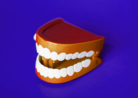 artificial, background, bite, blue, bright, care, chattering, chattering teeth, childish, children, clean, clinic, close up, close-up, colorful, crown, dental, dentist, dentistry, denture, fake, gum, health, hygiene, isolated, jaw, laughing, medi, colored background, healthcare and medicine, studio shot, single object, indoors, pill, blue background, no people, dose, medicine, protection, dental health, security, suntan lotion, white color, beauty, 2K, CC0, public domain, royalty free