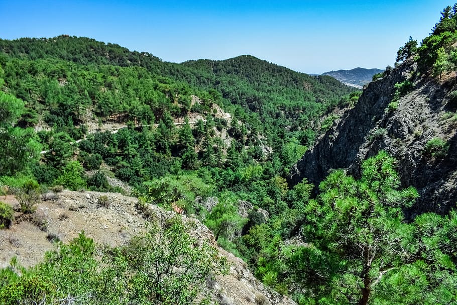 muntanya, bosc, pins, arbres, paisatge, naturalesa, boscos, desert, troodos, Xipre, planta, bellesa a la natura, escenics - natura, color verd, arbre, tranquil·litat, escena tranquil·la, medi ambient, escena no urbana, creixement, dia, cel, cap gent, terra, fullatge, exuberant fullatge, idíl·lic, a l'aire lliure, 5K
