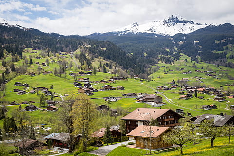 braun, Haus, Blau, Himmel Fotografie, Wolken, Nadelbaum, Feld, Gras, Wiese, Grün, Häuser, Landschaft, Berg, Natur, Weg, Straße, szenisch, Sicht, Himmel, Schnee, Sommer-, Schweiz, Bäume, Holz, Wald, die Architektur, Szenen - Natur, Schönheit in der Natur, Gebäude, Gebäudehülle, gebaute Struktur, Pflanze, grüne Farbe, Baum, Tag, Land, Umgebung, keine Leute, Wohngegend, ländliche Szene, draußen, 5K