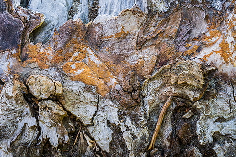 bruine steen, rots, natuur, buitenshuis, ijs-, fabriek, boom, berg-, sneeuw, hout, wortel, drijfhout, boomstam, wildernis, winter, gestructureerd oppervlak, getextureerde, structuur, water, rivier-, leisteen, rock - object, geen mensen, solide, rotsformatie, dag, volledig kader, schoonheid in de natuur, ruw, geologie, achtergronden, niet-stedelijke scène, kalmte, natuurlijk patroon, land-, detailopname, uitgehold, vorming, 5K, CC0, publiek domein, royaltyvrij