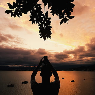 foto, hombre, tomando, imagen, vista trasera, ramas, Teléfono móvil, nubes, amanecer, dispositivo, electrónica, chico, horizonte, masculino, naturaleza, Oceano, persona, mar, cielo, teléfono inteligente, tomando foto, Sacando foto, tecnología, agua, puesta de sol, belleza en la naturaleza, gente real, silueta, una persona, nube - cielo, color naranja, estilos de vida, árbol, paisajes - naturaleza, actividad de ocio, tranquilidad, tierra, playa, al aire libre, brazo humano, brazos levantados, 2K, CC0, dominio público, libre de derechos