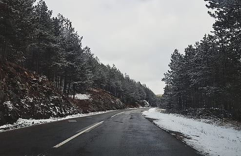 carretera asfaltada, arboles, planta, abeto, abies, árbol, la carretera, asfalto, pista, camino, autopista, conífera, picea, pino, camino de tierra, grava, clínica, parada de autobús, toro, animal, mamífero, promontorio, dirección, el camino a seguir, transporte, perspectiva decreciente, cielo, naturaleza, nadie, símbolo, señalización vial, punto de fuga, día, nieve, belleza en la naturaleza, calificación, firmar, tranquilidad, al aire libre, línea divisoria, largo, 4K, CC0, dominio público, libre de derechos
