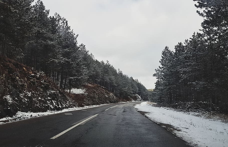 carretera asfaltada, arboles, planta, abeto, abies, árbol, la carretera, asfalto, pista, camino, autopista, conífera, picea, pino, camino de tierra, grava, clínica, parada de autobús, toro, animal, mamífero, promontorio, dirección, el camino a seguir, transporte, perspectiva decreciente, cielo, naturaleza, nadie, símbolo, señalización vial, punto de fuga, día, nieve, belleza en la naturaleza, calificación, firmar, tranquilidad, al aire libre, línea divisoria, largo, 4K