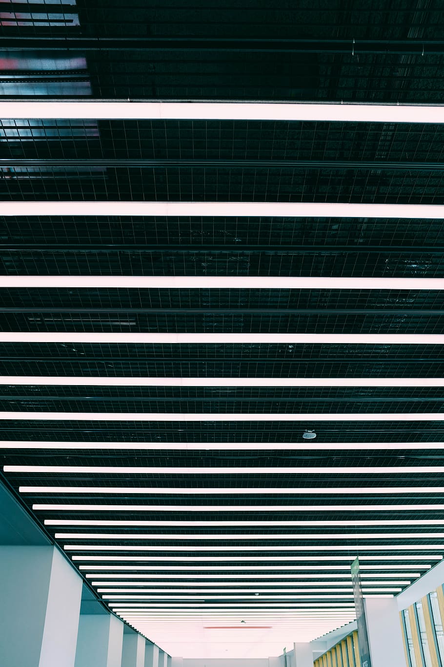 griglia, finestra, scala, pettine, architettura, lucernario, costruzione, acciaio, drenare, termosifone, schiuma, strumento, apparecchio, più fresco, struttura, palcoscenico, condizionatore, otturatore, tenda, fisarmonica, modello, struttura costruita, Inquadratura dal basso, nessuno, in casa, soffitto, giorno, moderno, illuminato, a strisce, ripetizione, attrezzatura per l'illuminazione, metallo, caratteristica architettonica, di fila, design, 5K