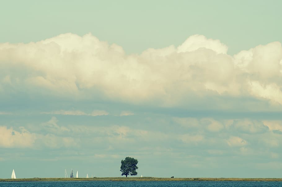 núvols, arbre, cel, paisatge, naturalesa, descans, encara, horitzó, humor, Mar Bàltic, schlei, núvol - cel, bellesa a la natura, escenics - natura, escena tranquil·la, tranquil·litat, planta, medi ambient, escena no urbana, terra, cap gent, idíl·lic, dia, mar, a l'aire lliure, aigua, 5K