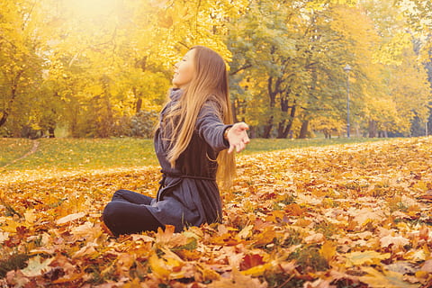 young, woman, sitting, fallen, autumn, leaves, park, tree, leaf, plant part, change, one person, nature, orange color, leisure activity, women, plant, land, adult, day, lifestyles, young adult, hairstyle, clothing, real people, hair, outdoors, 4K, CC0, public domain, royalty free