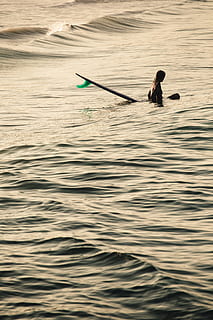 persona, nuoto, mare, acqua, surfer, Surf, galleggiante, struttura, donna, longboard, wafe, oro, californio, fare surf, oceano, sport, remo, fiume, canottaggio, lago, all'aperto, sport acquatico, azione, uomini, persone, natura, palella, ricerca ricreativa, silhouette, paddling, kayak, canottaggio sportivo, tramonto, nave nautica, riflessione, 5K, CC0, dominio pubblico, privo di copyright