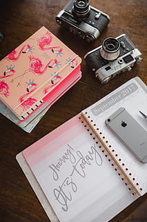 pink calendar, calendar, notebook, diary, note, desk, table, high angle view, indoors, still life, no people, wood - material, close-up, paper, text, pen, education, group of objects, communication, publication, camera - photographic equipment, photography themes, western script, equipment, ruler, note pad, 5K, CC0, public domain, royalty free