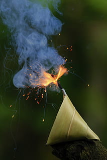 focs artificials, animal, la vida marina, meduses, invertebrat, nit, a l'aire lliure, flama, espurna, fum, flamarada, verd, flora, planta, cultura, feliç, sparkler, Festival, llum, deepavali, cremant, fum - estructura física, naturalesa, moviment, cap gent, primer pla, calor - temperatura, foc, moviment borrós, exposició llarga, centrar-se en primer pla, foc - fenomen natural, brillant, dia, menjar i beguda, menjar, paper, 4K, CC0, domini públic, lliure de regalies
