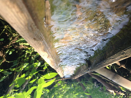 Indonésie, Java Ouest, rizières, eau, fermer, plante, journée, personne, la nature, bois - matériau, arbre, mouvement, en plein air, se concentrer sur le premier plan, eau qui coule, tronc d'arbre, tronc, vue grand angle, mise au point sélective, bois, écoulement, tuyau - tube, eau courante, pureté, chute d'eau, 2K, CC0, domaine public, libre de droits