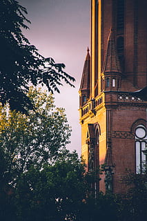 beton, biserică, inconjurat, verde, copaci, arhitectură, clădire, lumina zilei, exteriorul clădirii, copac, construită, plantă, natură, cer, vedere unghiulară joasă, nici o persoana, turn, credință, religie, oraș, destinații de călătorie, lăcaș de cult, în aer liber, trecutul, 5K, CC0, domeniu public, fără drepturi de autor