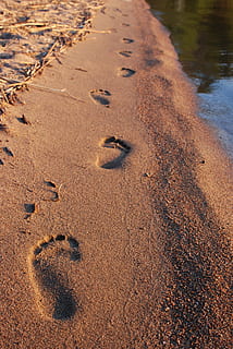 trin, sand, strand, fodspor, gå, spore, hav, natur, fod, sommer, barfodet, ferie, vand, jord, høj vinkel visning, dag, ingen mennesker, Print, spor - aftryk, Brun, mysterium, udendørs, ro, pote aftryk, våd, sollys, fravær, 4K, CC0, offentligt domæne, royaltyfrie