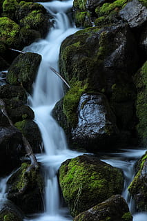 las, kaskada, wodospad, rzeka, długa ekspozycja, woda, ruch, scenics - natura, Płynąca woda, skała, niewyraźny ruch, piękno natury, drzewo, solidny, rock - obiekt, żadnych ludzi, Natura, roślina, płynący, mech, środowisko, na dworze, strumień - płynąca woda, moc w naturze, Las deszczowy, 5K, CC0, domena publiczna, darmowe zdjęcia