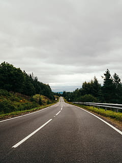 tom motorvej, vej, træ, transportmidler, retning, himmel, vejen frem, plante, symbol, vejmærkning, sky - himmel, skilt, mærkning, ingen mennesker, faldende perspektiv, natur, dag, skønhed i naturen, ikke-urbane scene, forsvindingspunkt, ro, udendørs, skillelinje, lang, 4K, CC0, offentligt domæne, royaltyfrie