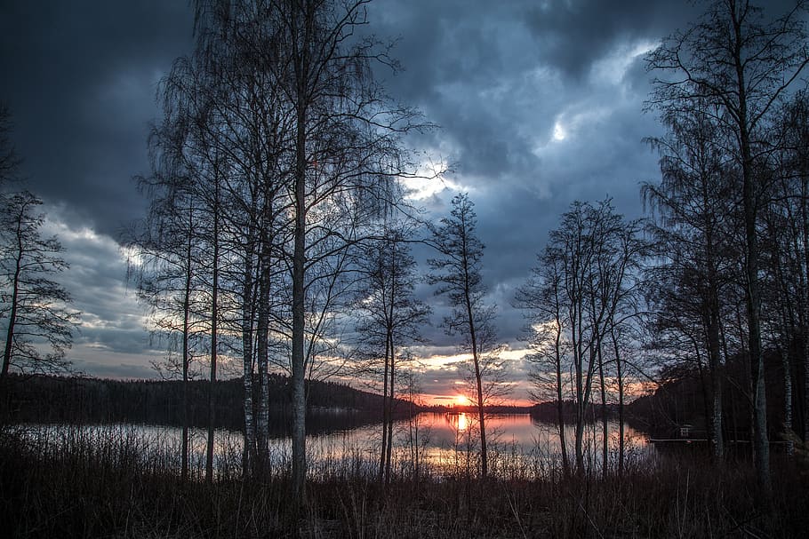 foresta, corpo, acqua, blu, nuvole, cielo scuro, alba, drammatico, sera, erba, orizzonte, paesaggio, luce, colpo basso angolo, nebbia, naturale, natura, riflessione, scenario, sole, tramonto, alberi, legna, albero, cielo, pianta, la tranquillità, bellezza nella natura, scenics - natura, lago, scena tranquilla, nuvola - cielo, nessuno, scena non urbana, terra, idilliaco, all'aperto, bosco, riflesso lente, 5K
