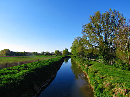 paisatge, primavera, camps, prats, naturalesa, verd, prat, rierol, el rierol, planta, arbre, cel, aigua, escenics - natura, escena tranquil·la, cel clar, tranquil·litat, bellesa a la natura, blau, cap gent, medi ambient, terra, dia, creixement, color verd, camp, a l'aire lliure, canal, rierol: aigua que flueix, 4K, CC0, domini públic, lliure de regalies