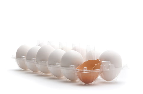 broken, case, chef, cooking, cracked, cracks, easter, egg, eggs, food, meal, omelette, shock, shocked, surprise, white, white background, food and drink, studio shot, healthy eating, wellbeing, indoors, freshness, close-up, shell, vulnerability, fragility, no people, eggshell, copy space, still life, raw food, egg carton, animal egg, breakfast, eggcup, 4K, CC0, public domain, royalty free