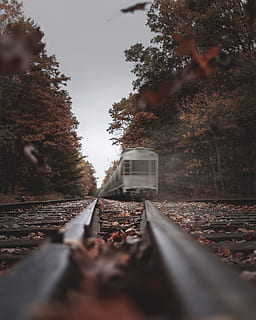 grau, Zug, Eisenbahn, tagsüber, Spur, Baum, Wald, Blatt, Blätter, Herbst, fallen, Bewegung, Reise, Fahrzeug, Holz, Linie, führend, Farbe, Bahngleis, Schienenverkehr, Transport, Transportmittel, Pflanze, selektiver Fokus, Natur, Tag, konzentrieren sie sich auf den hintergrund, die Architektur, öffentliche Verkehrsmittel, Himmel, Zug - Fahrzeug, keine Leute, draußen, Oberflächenniveau, Veränderung, 4K, CC0, gemeinfrei, lizenzfrei