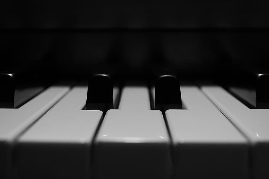 teclat d’ordinador, ordinador, maquinari de l'ordinador, maquinari, electrònica, teclat, piano, activitats de lleure, instrument musical, piano de cua, contemplatiu, blanc i negre, tecles de piano, música, instrument, piano vertical, dolços, pastisseria, menjar, or, cultura i entreteniment artístic, equipament musical, clau de piano, primer pla, a l'interior, instrument de teclat, color negre, cap gent, enfocament selectiu, estudi, Color blanc, tecnologia, estudi de gravació, fons, sintetitzador, centrar-se en primer pla, vida nocturna, etapa, 4K
