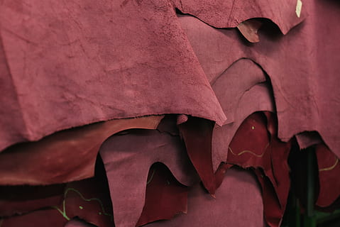 Textur, verbergen, roh, Leder, Nahansicht, keine Leute, Vollbild, Hintergründe, rot, Blatt, Muster, texturiert, Pflanzenteil, Natur, Pflanze, Tag, Schönheit in der Natur, Textil-, draußen, Fokus auf den Vordergrund, abstrakt, pinke Farbe, Wachstum, getrocknet, 5K, CC0, gemeinfrei, lizenzfrei