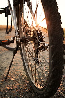 bicicletta parcheggiata, ruggine, mezzi di trasporto, veicolo, Mountain bike, bicicletta, pianta, flora, suolo, ruota, modo di trasporto, veicolo terrestre, pneumatico, ha parlato, concentrarsi sulle conoscenze acquisite, avvicinamento, nessuno, all'aperto, stazionario, strada, giorno, metallo, città, Ingranaggio, pedale, viaggio, 5K, CC0, dominio pubblico, privo di copyright