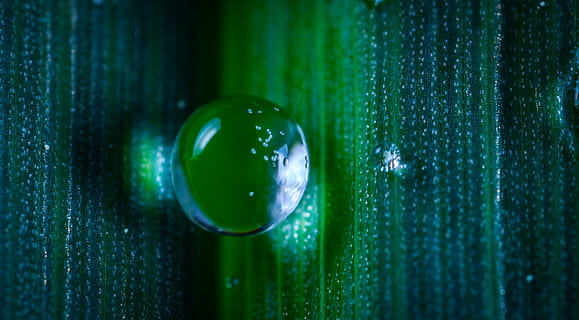 closeup, photography, dew, bubble, colors, dark, drop, droplet, h2o, macro, reflection, sphere, close-up, green color, no people, marbles, indoors, geometric shape, full frame, glass - material, shape, wood - material, ball, circle, pattern, selective focus, backgrounds, focus on foreground, purity, 2K, CC0, public domain, royalty free