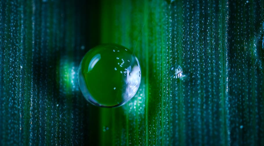 Nahansicht, Fotografie, Tau, Blase, Farben, dunkel, fallen, Tröpfchen, h2o, Makro, Reflexion, Kugel, grüne Farbe, keine Leute, Murmeln, drinnen, Geometrische Figur, Vollbild, Glas - Material, gestalten, Holz - Material, Ball, Kreis, Muster, selektiver Fokus, Hintergründe, Fokus auf den Vordergrund, Reinheit, 2K