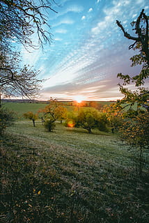 moln, stapling, solnedgång, hårlock, se, landskap, bakgrund, tapet, Sol, röd, kväll, natt, växt, himmel, träd, skönhet i naturen, moln - himmel, scenics - natur, lugn, lugn plats, gräs, natur, landa, miljö, fält, icke-urbana scenen, tillväxt, inget folk, idyllisk, grön färg, utomhus, 5K, CC0, offentligt domän, royaltyfria