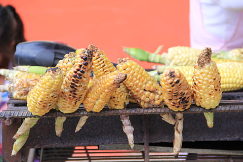 porumb, mazorcas, asado, Tipico, Comida, Columbia, mancare si bautura, alimente, mâncat sănătos, porumb pe știulete, vegetal, gratar, prospeţime, porumb dulce, bunăstare, să se concentreze asupra primelor elemente, zi, grătar, piaţă, frigare, cu amănuntul, la grătar, oameni, stand de piață, a închide, în aer liber, concesiune stand, preparare, 2K, CC0, domeniu public, fără drepturi de autor