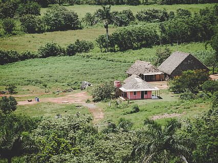 cuba, Viñales, anlegg, tre, land, arkitektur, bygget struktur, felt, vekst, hus, landskap, grønn farge, bygge eksteriør, natur, dag, miljø, bygning, landlige scene, gress, ro, naturskjønnhet - natur, skjønnhet i naturen, utendørs, ingen folk, hytte, 4K, CC0, offentlig domene, opphavsrett gratis