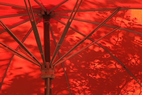 parapluie, Thaïlande, Chiang Mai, canopée, wat phra pan (wat phranon mee pukha), rouge, Asie, ombre, lumière, parasol de jardin, parasol, colorant, laser, violet, orage, la nature, ornement, fractale, modèle, porte, faible angle de vue, personne, matériel d'éclairage, protection, architecture, en plein air, Sécurité, métal, structure construite, plafond, illuminé, journée, plein cadre, fermer, lampe électrique, 4K, CC0, domaine public, libre de droits