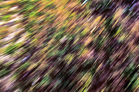 abstrakt, baggrund, baggrunde, multi farvet, fuld ramme, tekstureret, mønster, ingen mennesker, kreativitet, abstrakte baggrunde, tæt på, natur, grøn farve, bevægelse, levende farve, Brun, gentagelse, sløret bevægelse, futuristisk, tekstureret effekt, vitalitet, udendørs, lyse, kaos, regn, 4K, CC0, offentligt domæne, royaltyfrie
