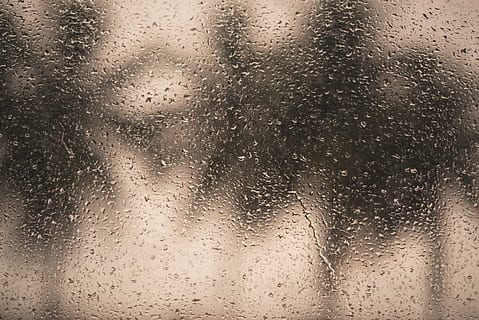 regn, dråber, vindue, træer, sommer brusebad, baggrunde, fuld ramme, våd, glas - materiale, dråbe, vand, tæt på, indendørs, ingen mennesker, mønster, gennemsigtig, tekstureret, natur, kondensation, fokus på forgrunden, regndråbe, abstrakt, regntiden, sølvfarvet, glas, abstrakte baggrunde, renhed, 5K, CC0, offentligt domæne, royaltyfrie