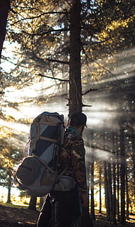 uomo, escursioni a piedi, zaino, foresta, avventura, zaino in spalla, luce del giorno, ambiente, tipo, escursione, escursionista, paesaggio, maschio, natura, all'aperto, persona, ricreazione, panoramico, abbagliamento solare, i raggi del sole, alberi, indossare, boschi, albero, pianta, terra, una persona, persone reali, attività di svago, giorno, tre quarti, in piedi, luce del sole, concentrarsi sulle conoscenze acquisite, inverno, capi di abbigliamento, stili di vita, tronco, bosco, vestiti caldi, 5K, CC0, dominio pubblico, privo di copyright