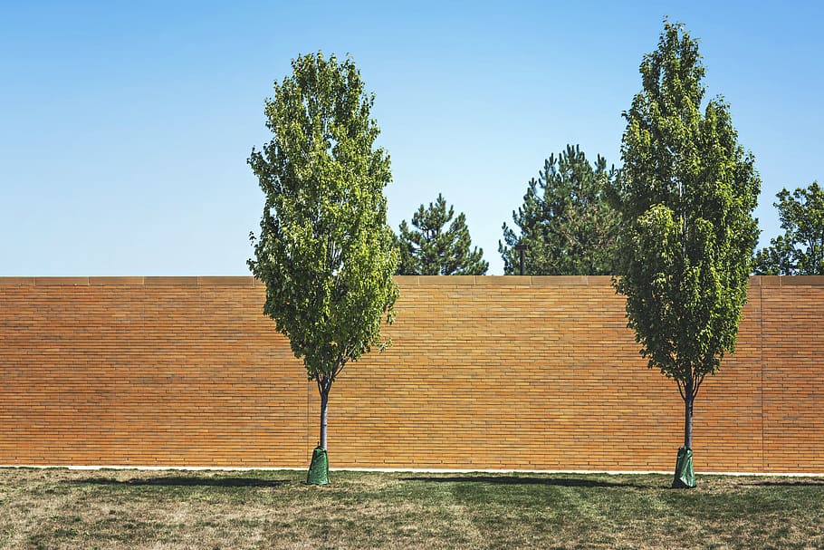 arbres, herba, maó, paret, blau, cel, arbre, planta, creixement, naturalesa, dia, cap gent, cel clar, color verd, a l'aire lliure, llum solar, arquitectura, estructura construïda, tranquil·litat, funció de construcció de parets, escena tranquil·la, bellesa a la natura, exterior de l'edifici, 5K