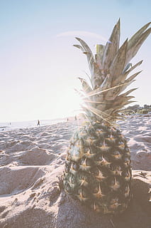 pinya, gris, sorra, durant el dia, platja, fruita, mar, vora del mar, fruita tropical, terra, cel, naturalesa, aigua, bellesa a la natura, llum solar, escenics - natura, horitzó sobre l’aigua, dia, horitzó, tranquil·litat, cap gent, escena tranquil·la, a l'aire lliure, 5K, CC0, domini públic, lliure de regalies