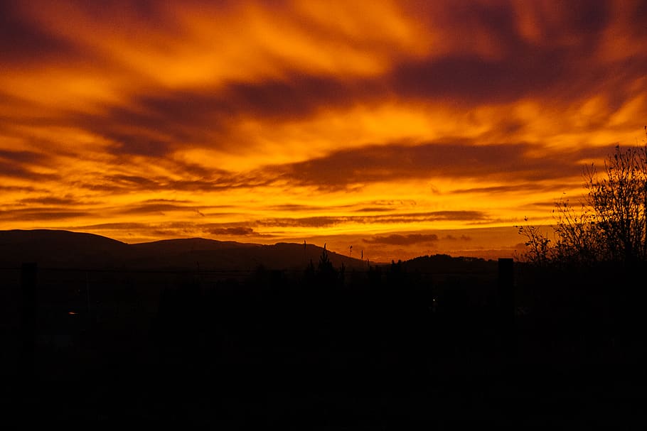 posta de sol, alba, fosc, nit, taronja, cel, núvol - cel, silueta, bellesa a la natura, escenics - natura, color taronja, escena tranquil·la, tranquil·litat, naturalesa, cap gent, medi ambient, cel dramàtic, paisatge, idíl·lic, arbre, a l'aire lliure, majestuós, 2K