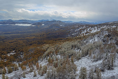 borovice, efi, bříza, les, sníh, zimní, hory, krajina, Příroda, podzim, kuyagan, altai, Rusko, smrk, krása v přírodě, hora, scenics - příroda, životní prostředí, nebe, klid, klidné scény, mimoměstské scény, studená teplota, mrak - nebe, nikdo, rostlina, den, pohoří, přistát, venku, 4K, CC0, veřejná doména, bez autorských práv