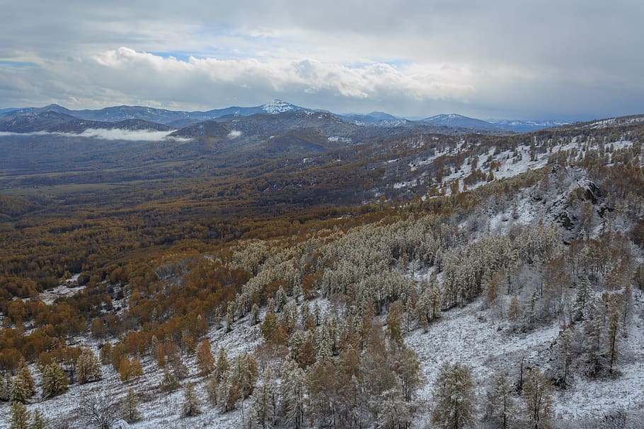 pi, efi, bedoll, bosc, neu, hivern, muntanyes, paisatge, naturalesa, tardor, kuyagan, altai, Rússia, picea, bellesa a la natura, muntanya, escenics - natura, medi ambient, cel, tranquil·litat, escena tranquil·la, escena no urbana, temperatura de fred, núvol - cel, cap gent, planta, dia, Serra, terra, a l'aire lliure, 4K