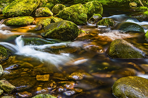 fotografia de timelapse, riu, que flueix, cobert de molsa, roques, durant el dia, medi ambient, flux, paisatge, exposició llarga, molsa, roques molses, naturalesa, escènic, pedres, corrent, lapse de temps, aigua, aigües, humit, rock, sòlid, rock - object, cap gent, moviment, bellesa a la natura, rierol: aigua que flueix, pedra - objecte, dia, aigua que flueix, primer pla, color verd, pedra, a l'aire lliure, poc profund, còdols, puresa, 5K, CC0, domini públic, lliure de regalies