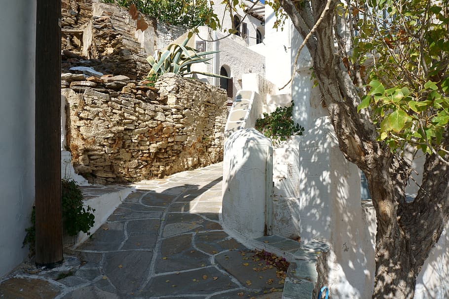 buit, camí, concret, paret, arquitectura, estructura construïda, planta, arbre, dia, exterior de l'edifici, edifici, religió, cap gent, història, el passat, naturalesa, espiritualitat, sòlid, creença, vell, a l'aire lliure, llum solar, lloc de culte, arruïnat, 5K