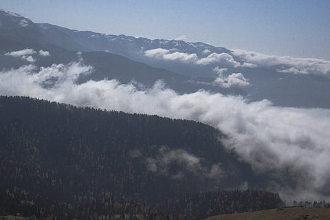 roza khutor, bosc, núvol, muntanya, paisatge, neu, cloudscape, bellesa a la natura, medi ambient, escenics - natura, cel, núvol - cel, arbre, planta, naturalesa, escena tranquil·la, cap gent, tranquil·litat, boira, dia, terra, a l'aire lliure, escena no urbana, Serra, pi, bosc de pi, arbre de coníferes, 2K, CC0, domini públic, lliure de regalies