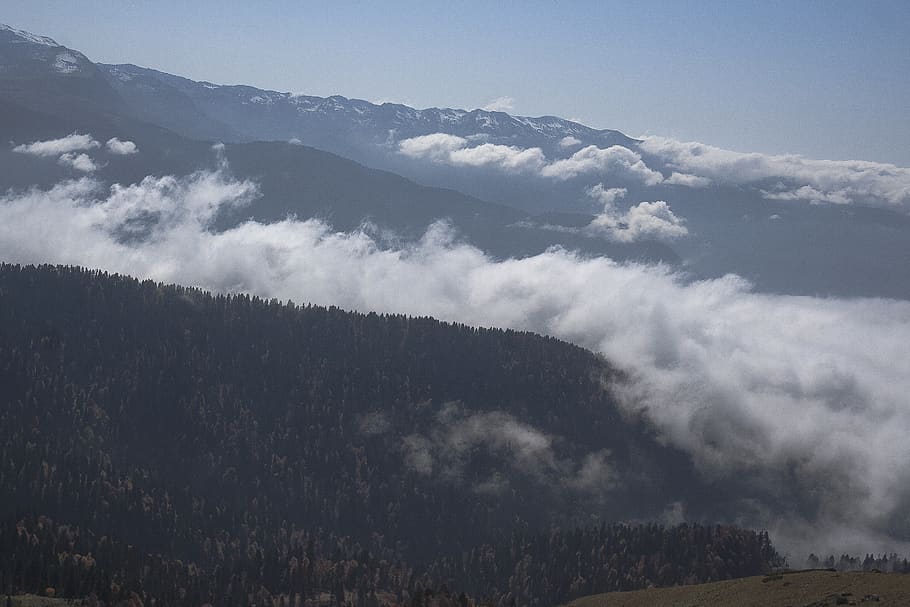 roza khutor, bosc, núvol, muntanya, paisatge, neu, cloudscape, bellesa a la natura, medi ambient, escenics - natura, cel, núvol - cel, arbre, planta, naturalesa, escena tranquil·la, cap gent, tranquil·litat, boira, dia, terra, a l'aire lliure, escena no urbana, Serra, pi, bosc de pi, arbre de coníferes, 2K