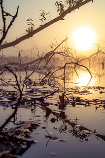 Německo, schwerte, voda, krása v přírodě, klid, jezero, strom, nebe, rostlina, západ slunce, odraz, Příroda, nikdo, větev, scenics - příroda, klidné scény, nábřeží, venku, holý strom, mimoměstské scény, zimní, plovoucí na vodě, 5K, CC0, veřejná doména, bez autorských práv