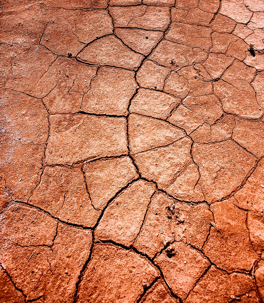 terra seca, sòl, canyó de paria, EUA, catifa, textura, marró, fang, naturalesa, desert, geometria, esquerdes, utah, formes, tar, a l'aire lliure, guant, roba, samurai, clima, marc complet, esquerdat, clima àrid, fons, terra, medi ambient, sequera, sec, escenics - natura, cap gent, patró, paisatge, estèril, brutícia, dia, efecte texturat, erosionat, 2K